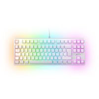 Keyboard: Xtrfy K4 TKL RGB - 蘋蘋澎澎 设备
