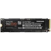 固态硬盘: Samsung Memorie MZ-V6E250BW 设备